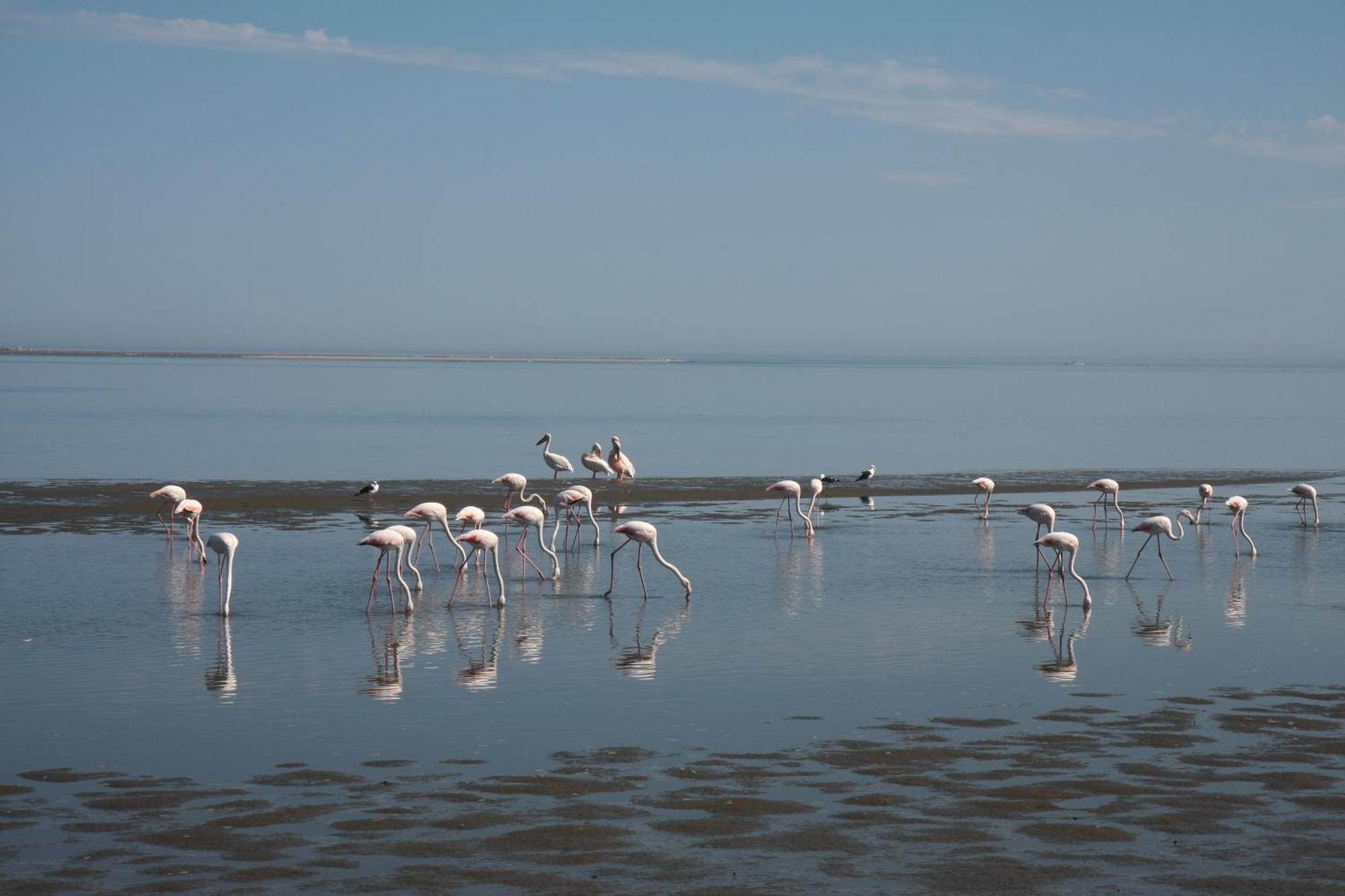 Lagoon Loge Walvis Bay Esterno foto