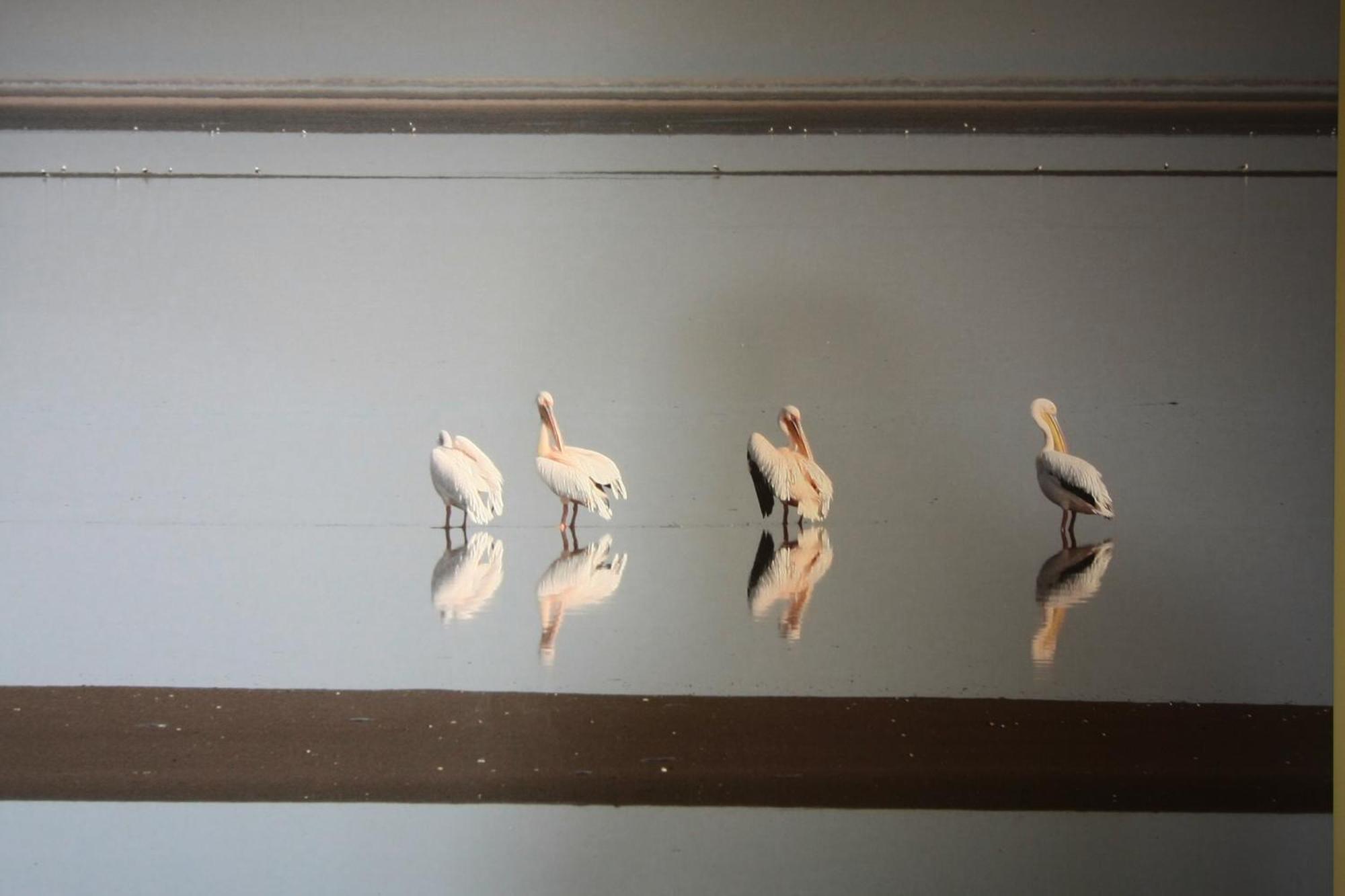 Lagoon Loge Walvis Bay Esterno foto